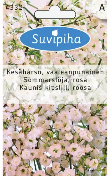 KESÄHARSO 1 RUUSUNPUNAINEN - Kukkasiemenet - 8711117433200 - 1