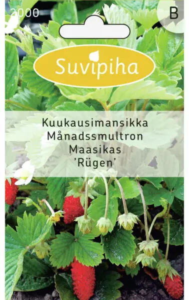 KUUKAUSIMANSIKKA 2 - Vihannes, juures & yrttien siemenet - 8711117200000 - 1