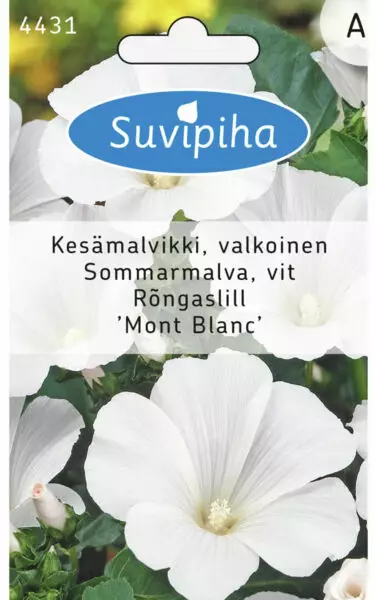 KESÄMALVIKKI VALKOINEN 1 - Kukkasiemenet - 8711117443100 - 1