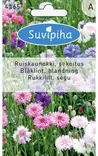 RUISKAUNOKKI 1 SEKOITUS - Kukkasiemenet - 8711117416500 - 1