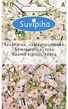 KESÄHARSO 1 RUUSUNPUNAINEN - Kukkasiemenet - 8711117433200 - 1