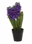 HYASINTTI RUUKUSSA VIOLETTI 27cm - Tekokasvit ja muovikukat - 6410413336360 - 1