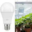 Kasvilamppu LED 1100lm E27 9W Airam - Lamput E27 kanta - 6435200296450 - 3