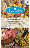 KUIVAKUKKASEOS 2 - Kukkasiemenet - 8711117490500 - 1
