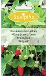 KUUKAUSIMANSIKKA 2 - Vihannes, juures & yrttien siemenet - 8711117200000 - 1