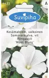 KESÄMALVIKKI VALKOINEN 1 - Kukkasiemenet - 8711117443100 - 1