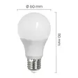 Led lamppu E27 A60 12W 1050lm 4000K 2kpl - Lamput E27 kanta - 6418536029510 - 3