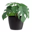 Ruukku Magnolia Jumper 14cm musta - Ulkoruukut - 6410416443300 - 2