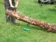 SAHAUSPUKKI TUKKITELINE 100KG - Työpukit ja tasotikkaat - 6438168095110 - 2