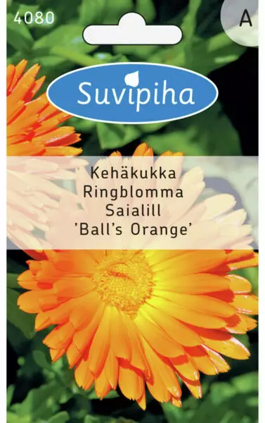 KEHÄKUKKA 1 ORANSSI KERROTTU - Kukkasiemenet - 8711117408000 - 1