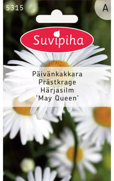 PÄIVÄNKAKKARA 2 - Kukkasiemenet - 8711117531500 - 1