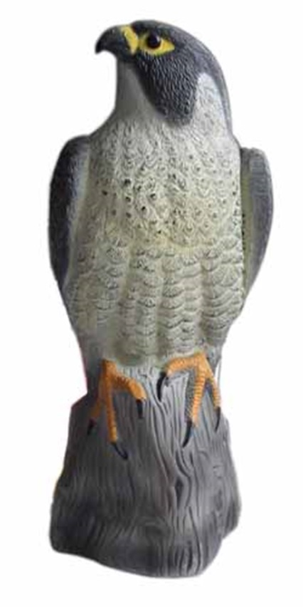 pelotuslintu haukka pelotinhaukka - Linnunpelättimet - 6438159067720 - 1