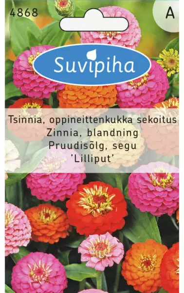 ZINNIA 2 ELEGANS LILLIPUT - Kukkasiemenet - 8711117486800 - 1
