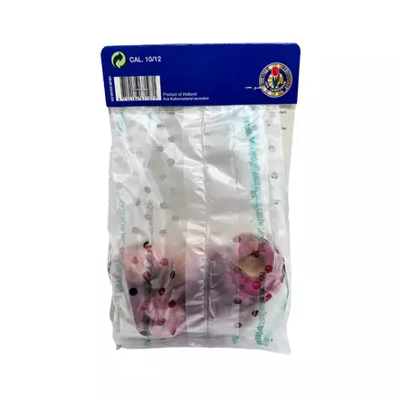 Miekkalilja mukula 5 kpl Gladiolus Fortuna - Kukkasipulit ja istukkaat - 8710186671971 - 2