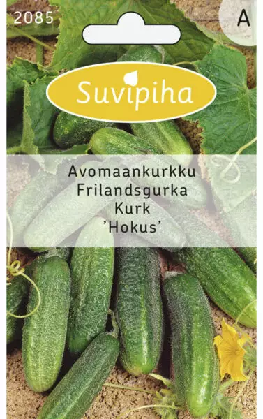AVOMAAKURKKU 1 HOKUS - Vihannes, juures & yrttien siemenet - 8711117208501 - 1