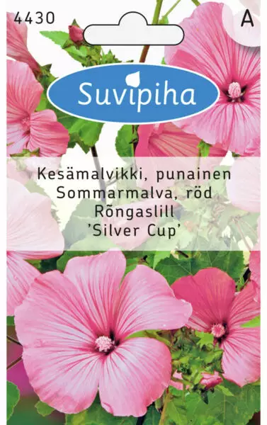 KESÄMALVIKKI PUNAINEN 1 - Kukkasiemenet - 8711117443001 - 1