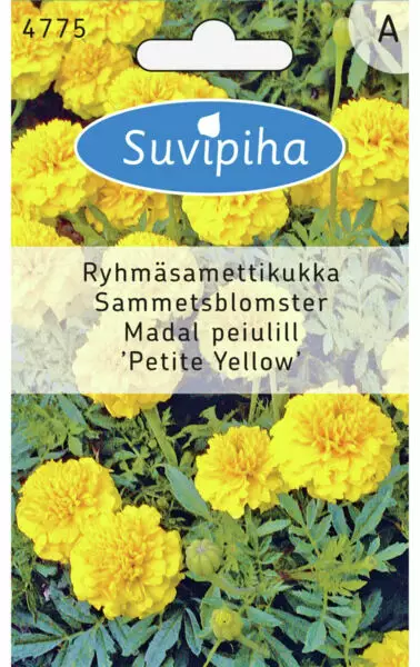 RYHMÄSAMETTIKUKKA 3 - Kukkasiemenet - 8711117477501 - 1