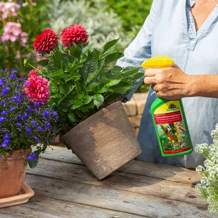 TUHOHYONTEISTEN TORJUNTA-AINE 500ML - Huonekasvien ravinteet ja myrkyt - 4005240167731 - 2