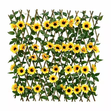 Viherseinä auringonkukka köynnös - Pajuaidat - 6438159384711 - 1