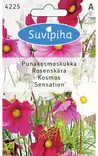 KOSMOSKUKKA 2 SENSATION - Kukkasiemenet - 8711117422501 - 1
