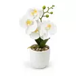 Tekokukka orkidea 28 cm keraamisessa ruukussa - Tekokasvit ja muovikukat - 6438159393621 - 2