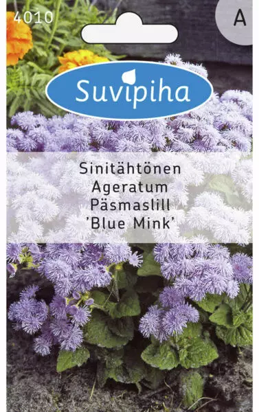 SINITÄHTÖNEN 3 SIEMENPUSSI - Kukkasiemenet - 8711117401001 - 1