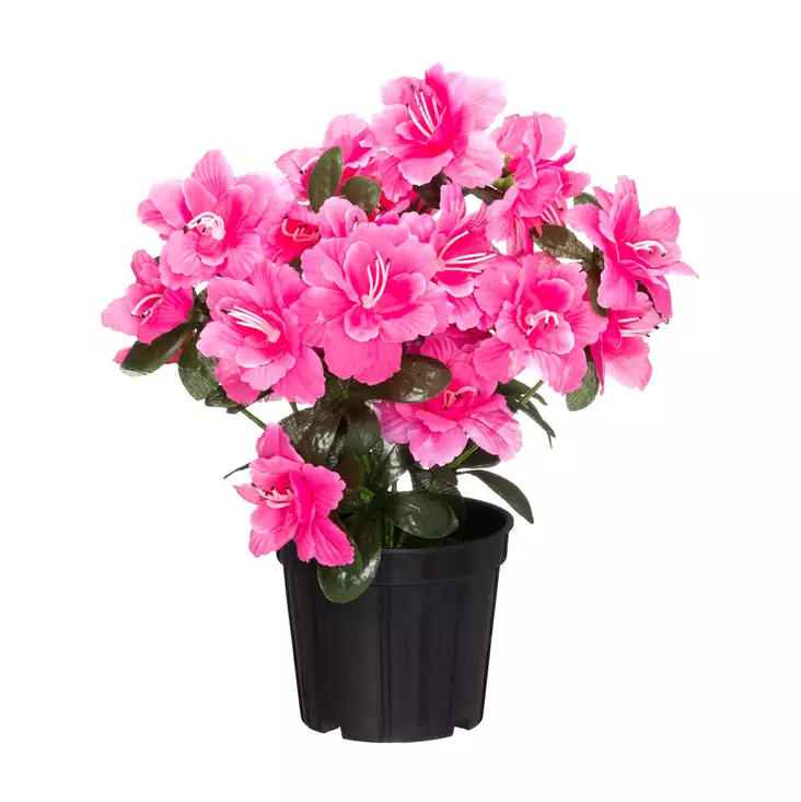 Atsalea ruukussa pinkki - Tekokasvit ja muovikukat - 6410416529561 - 1