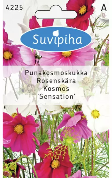KOSMOSKUKKA 2 SENSATION - Kukkasiemenet - 8711117422501 - 1