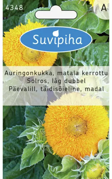 AURINGONKUKKA 1 KERROTTU MATALA - Kukkasiemenet - 8711117434801 - 1