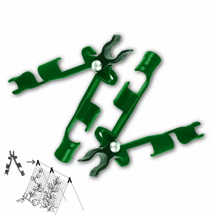 KÖYNNÖSKEHIKON KIINNIKKEET - Kasvituet ja köynnöskehikot - 5907544406501 - 1