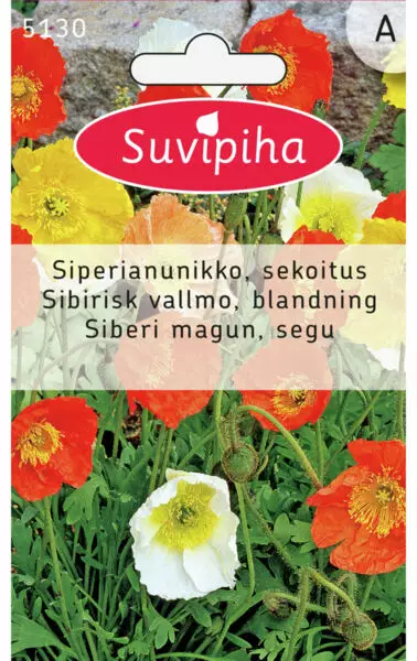 SIPERIANUNIKKO 2 - Kukkasiemenet - 8711117513001 - 1