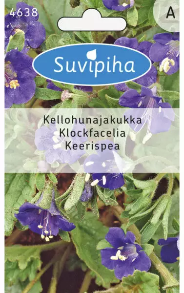 KELLOHUNAJAKUKKA 2 - Kukkasiemenet - 8711117463801 - 1