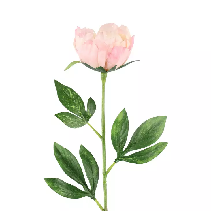 Pioni vaalea malva - Tekokasvit ja muovikukat - 6410416527741 - 1