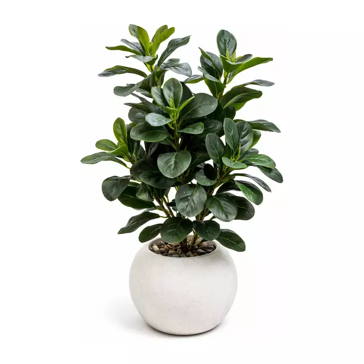 Tekokasvi rahapuu ruukussa 18x50cm - Tekokasvit ja muovikukat - 6438159393591 - 1