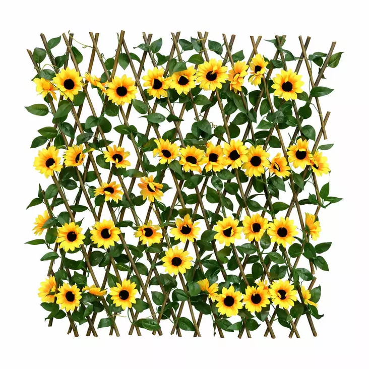 Viherseinä auringonkukka köynnös - Pajuaidat - 6438159384711 - 1