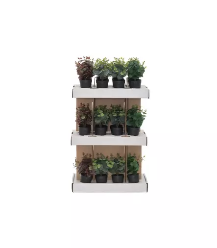 EUKALYPTUS RUUKUSSA 26 CM 4Living - Tekokasvit ja muovikukat - 6410416040752 - 1