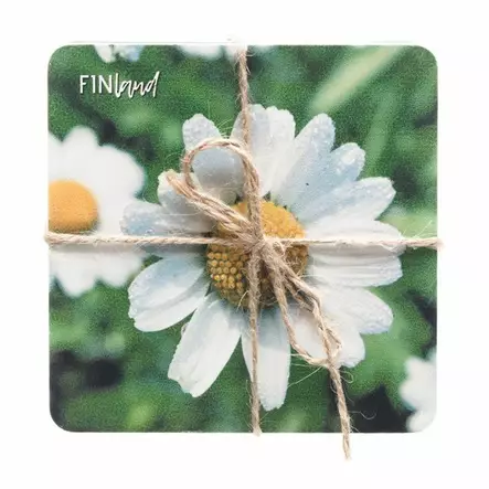 lasinalunen kes=C3=A4 4kpl - Juomalasit - 6410413162402 - 2