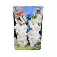 Miekkalilja mukula 10 kpl Gladiolus Weiss White - Kukkasipulit ja istukkaat - 839792 - 1