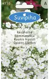 KESÄHARSO 1 VALKOINEN - Kukkasiemenet - 8711117433002 - 1