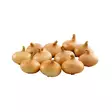 ISTUKASSIPULI 500G - Istukassipulit - 6415152980102 - 1