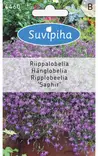 AMPPELILOBELIA 3 - Kukkasiemenet - 8711117446002 - 1
