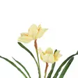 Narsissi oksa keltainen 52 cm - Tekokasvit ja muovikukat - 6410416441382 - 2