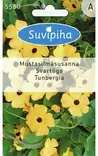 MUSTASILMÄ 2 SUSANNA - Kukkasiemenet - 8711117558002 - 1