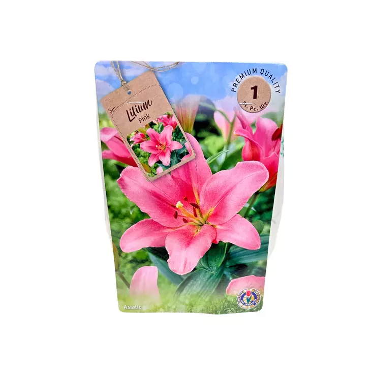Lilja kukkasipuli 1 kpl Lilium Pink - Kukkasipulit ja istukkaat - 8710186700152 - 1