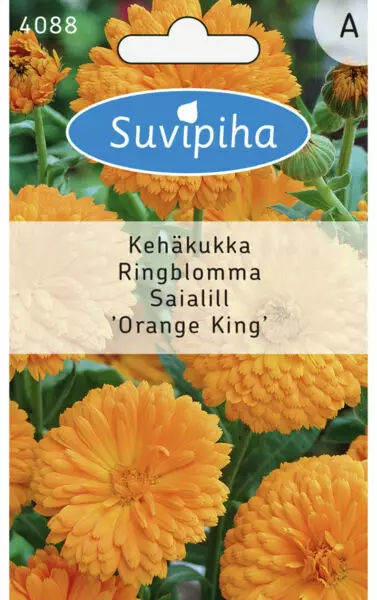 KEHÄKUKKA 1 ORANSSI - Kukkasiemenet - 8711117408802 - 1