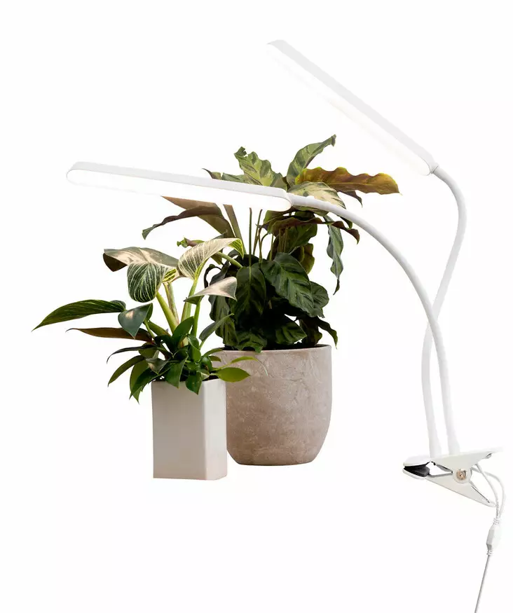 KASVIVALAISIN LED 16W AIRAM TULIP - Kasvivalaisimet - 6435200292742 - 1