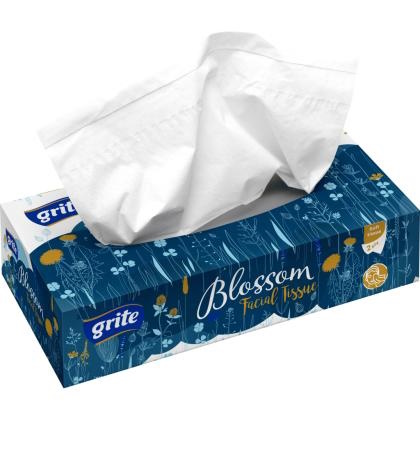 kasvopaperi Blossom 80 arkkia - WC-paperit - 4770023346152 - 1