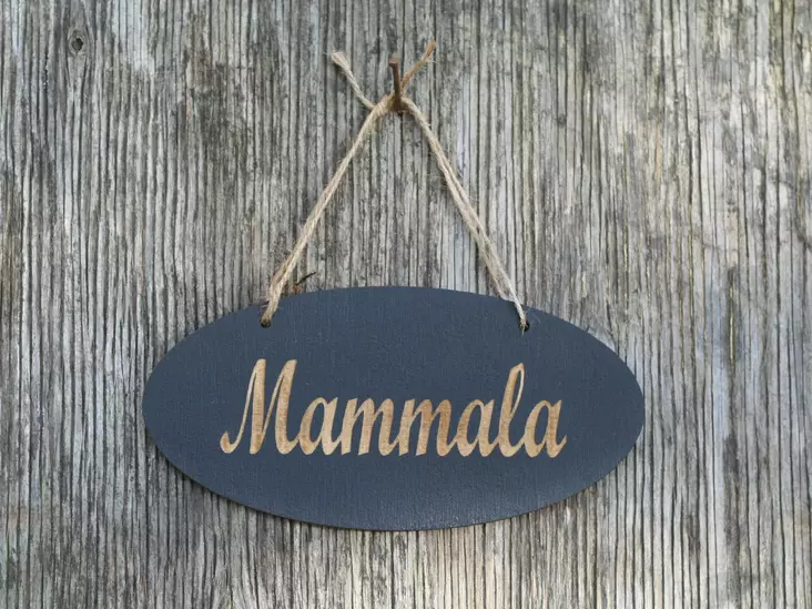 KYLTTI Mammala musta - Kyltit ja avaimenperät - 6430077571402 - 1