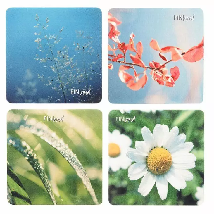 lasinalunen kes=C3=A4 4kpl - Juomalasit - 6410413162402 - 1