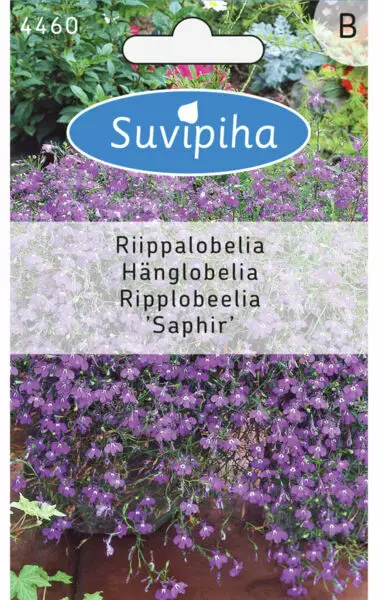 AMPPELILOBELIA 3 - Kukkasiemenet - 8711117446002 - 1
